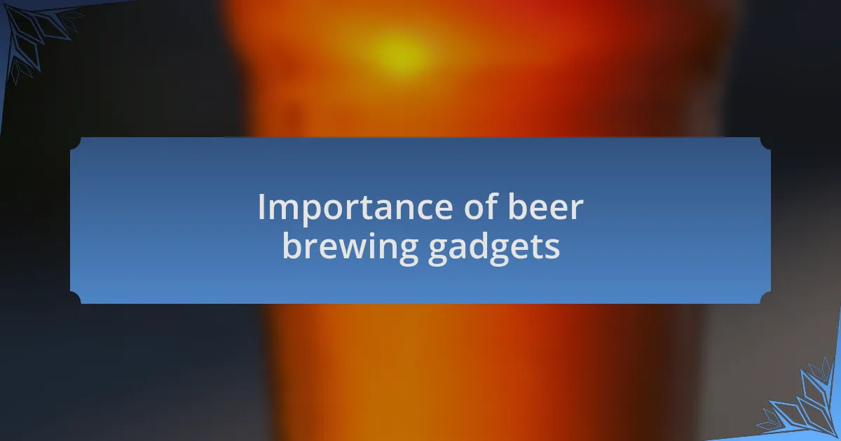 Importance of beer brewing gadgets
